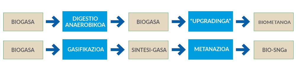 Esquema bio-sng
