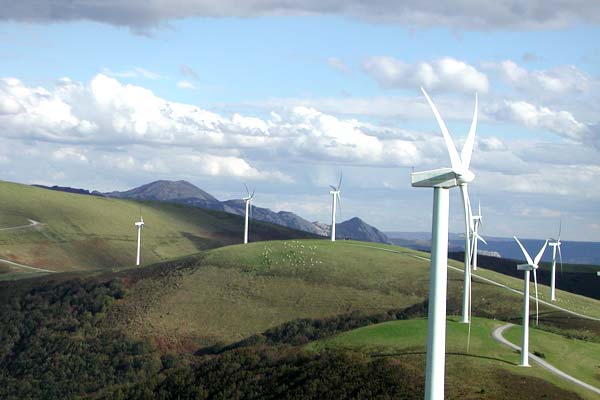 Panoramic view of the wind farm.